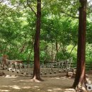 유수지공원 유아숲체험원 이미지