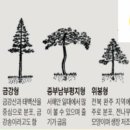 육통2리능골 | [경북] 2023, 주상절리 Tour … 9. 경주 흥덕왕릉 &amp; 육통리 槐