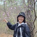 인천대공원 개인사진 무이편 이미지