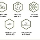 강릉모터스
