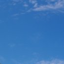 안행부의 꿈꾸는 다락 숲 프로그램 개최 _ 감정초등학교 이미지