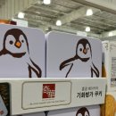펭귄유통 | 코스트코 간식 추천 기화 병가 펭귄쿠키 후기, 코스트코 할인상품