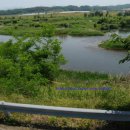 월평동 보행자우선도로(월평중로 14번길) | 영동군 심천면 빠가사리 낚시 후기