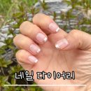 네일다이어리 - 안산시 상록구 | 대구 평리동 깔끔하고 예쁜 네일다이어리에서 네일받은 후기