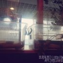 새들한의원 이미지