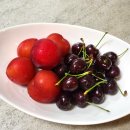 전주 신중앙시장 먹거리 구경