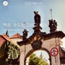 비바리호프 이미지