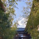 라라소갈비찜 이미지