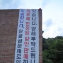 학마루 네이버블로그