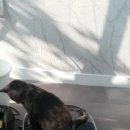 만다공인중개사사무소 이미지