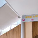 뮤지컬 <구구> 쇼케이스 이미지