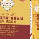 지오엠 - 성남시 분당구 성남대로2번길 6 | 지오엠