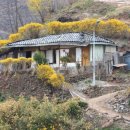 풍경있는집