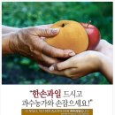 이야기꽃과일나라