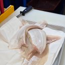 11650-17-161-9 | [공지] 노량진회포장 제철 봄도다리 포장후기 노량진수산시장 맛집 전라상회 🐟