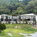 리틀포레스트 | 단양 맛집 감성 카페 추천 리틀포레스트 만족후기