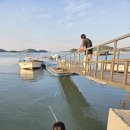 나무늘보 | 퍼플섬 숙소 퍼플섬나무늘보펜션 후기~!