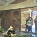 지금 용인대 국가대표 태권도장 이미지