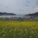 매봉산1길 이미지