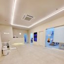 웰리스 동물병원 이미지