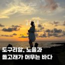 도구리알 | 제주 서쪽 돌고래 스팟 도구리알 일몰까지 폭삭속았수다 촬영지