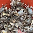 해리전통시장 이미지