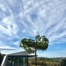 오다가다 | 내돈내산 포르투 와이너리 투어 : 오다가다 그린 와인 &amp; 포트 와인 솔직 후기