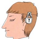 자유머리