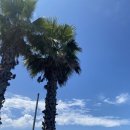 파미에애월 이미지