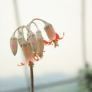 옛소농장 이미지