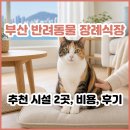관양산길 | 부산 반려동물 장례식장 추천 장소는? 부산 동물 장례 비용, 후기, 추천 시설 2곳 완벽 정리.