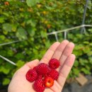 지석농장 이미지