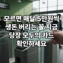 [옥정]시니어휴대폰활용하기 | 2026년 대중교통비 50퍼센트 할인 모두의 카드 환급 신청 방법