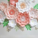 미쁜아토 이미지