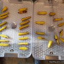 이재룡의 뭉개뭉개 유치원 이미지