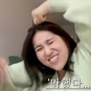 홀스앤타이거