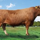 경상북도 축산기술연구소 이미지