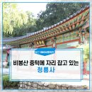 경북 상주 가볼만한곳, 상주 사찰 비봉산 중턱에 자리 잡고 있는 청룡사 : : 월간 SNS 서포터즈 이미지