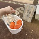 승미목장 네이버블로그
