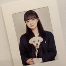 오로라사진관 이미지