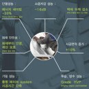 스카이텍 이미지