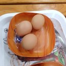 에이스스파랜드 이미지