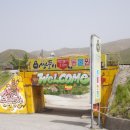 강릉 쌍둥이 동물농장 이미지