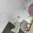 르블랑 뷰티 | 율하카페거리 김해 속눈썹 잘하는 뷰티샵 르블랑 솔직후기