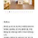 별바당 이미지