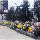 운주산성요양병원 이미지