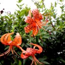 염북마을회관 이미지