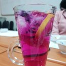 꽃차 힐링 테라피 이미지