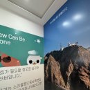 독크루