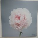 나리샵(NARI#) | 세종 반곡동 속눈썹연장 나리샵(NARI#)